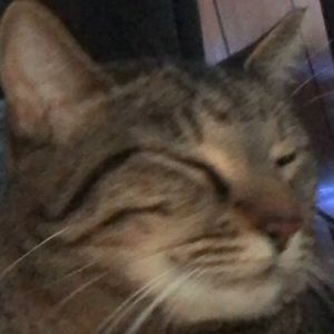 Meet your Posher, Aden